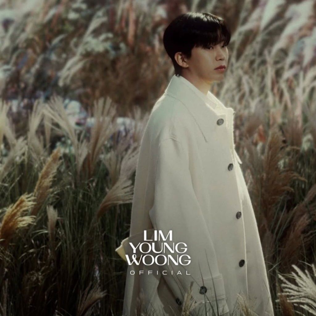 Cuplikan di balik layar dari Lim Youngwoong