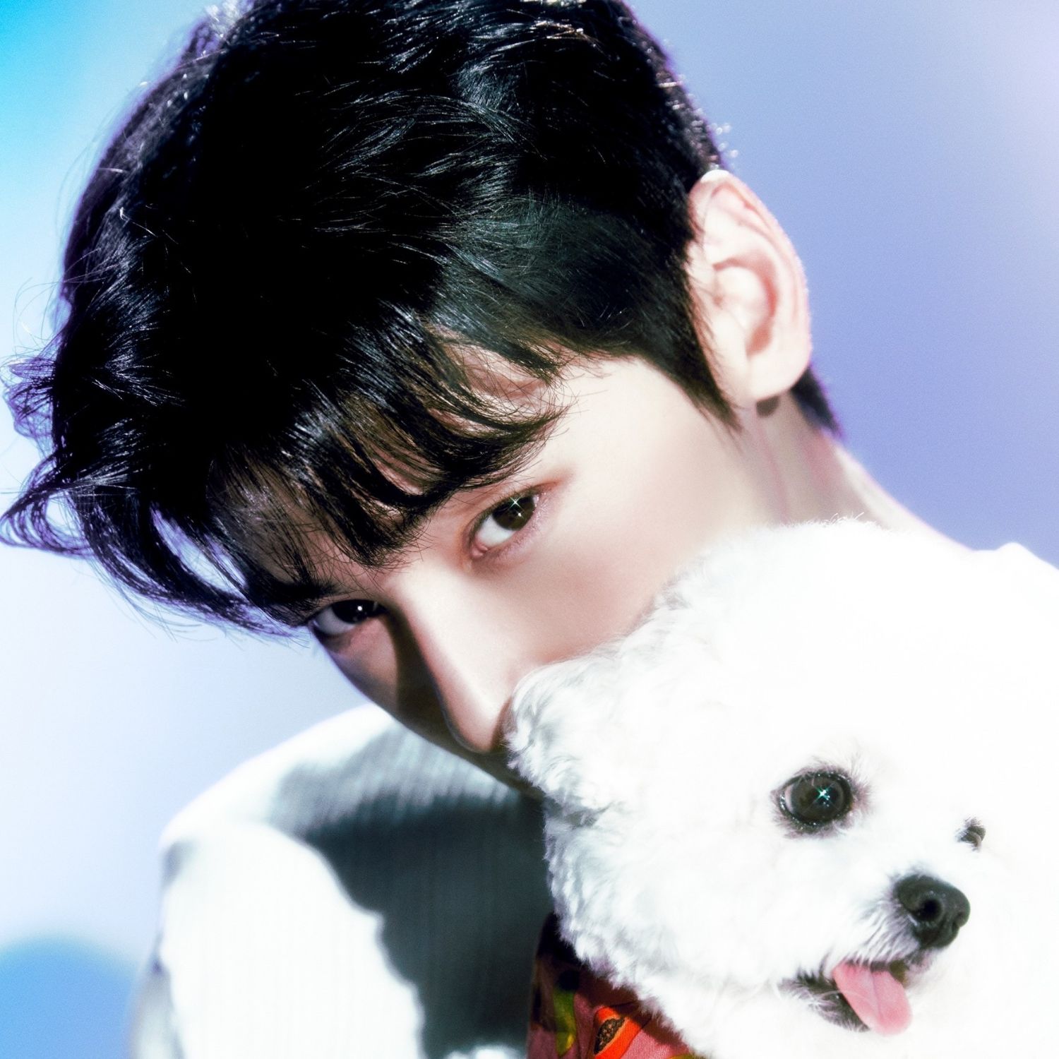 Recent activity shot of Cha Eunwoo