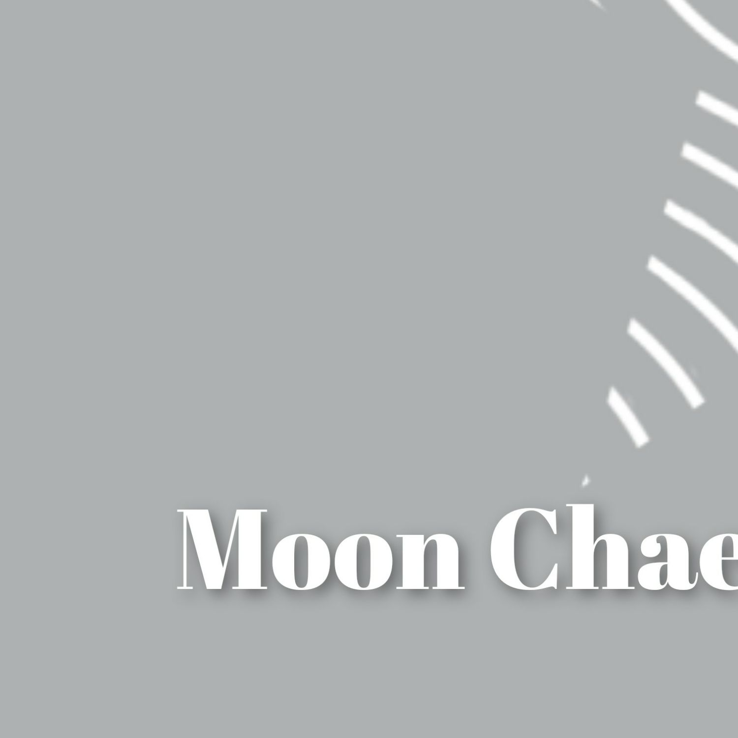 文彩元的最新照片