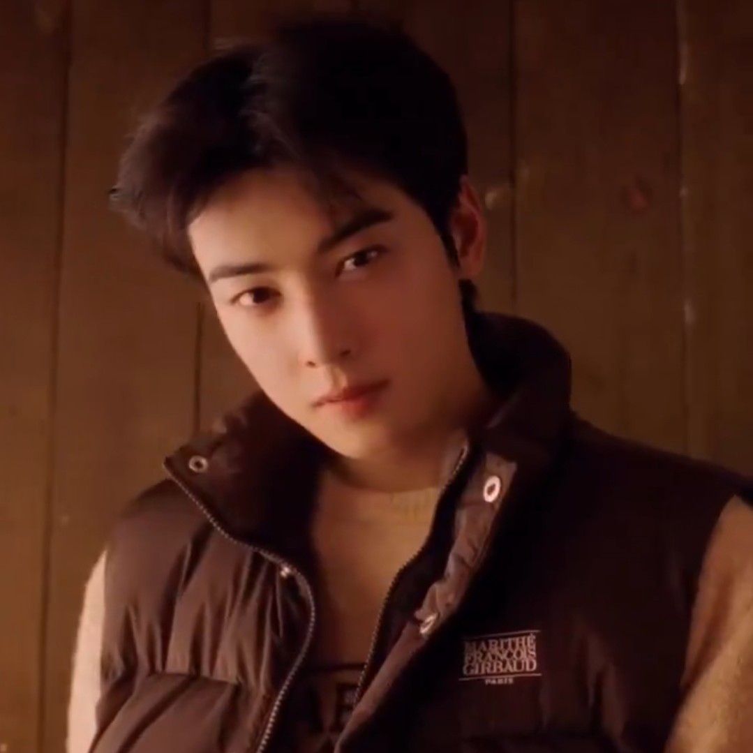 Behind-the-scenes cut of Cha Eunwoo