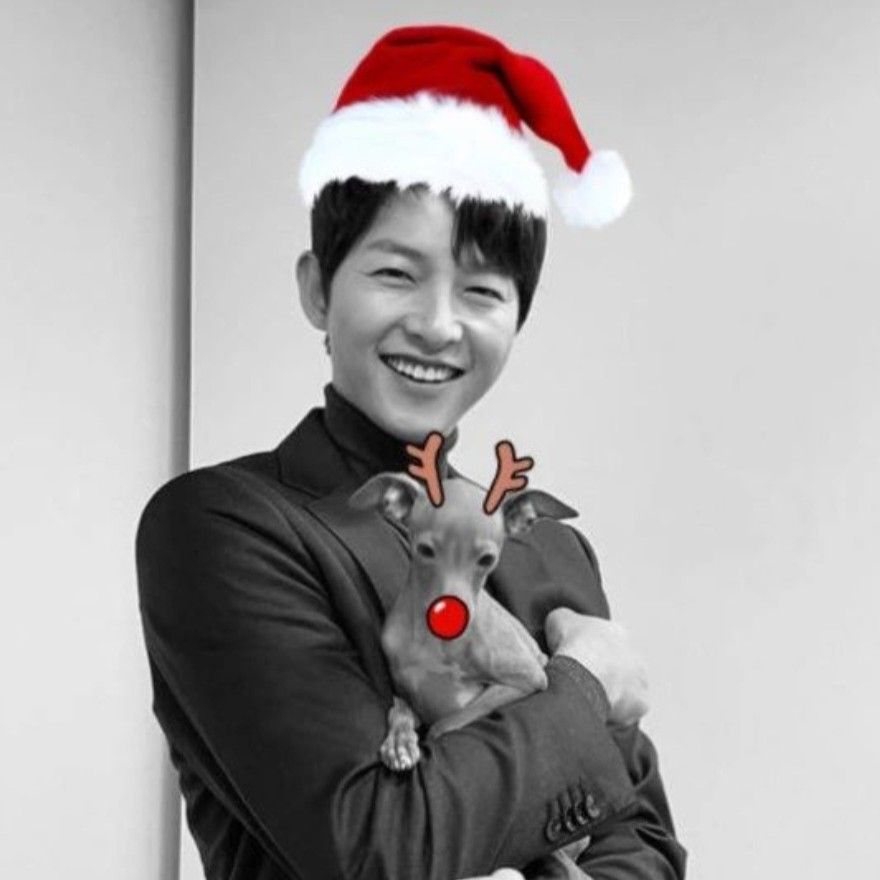 송중기 팬이 찍은 순간