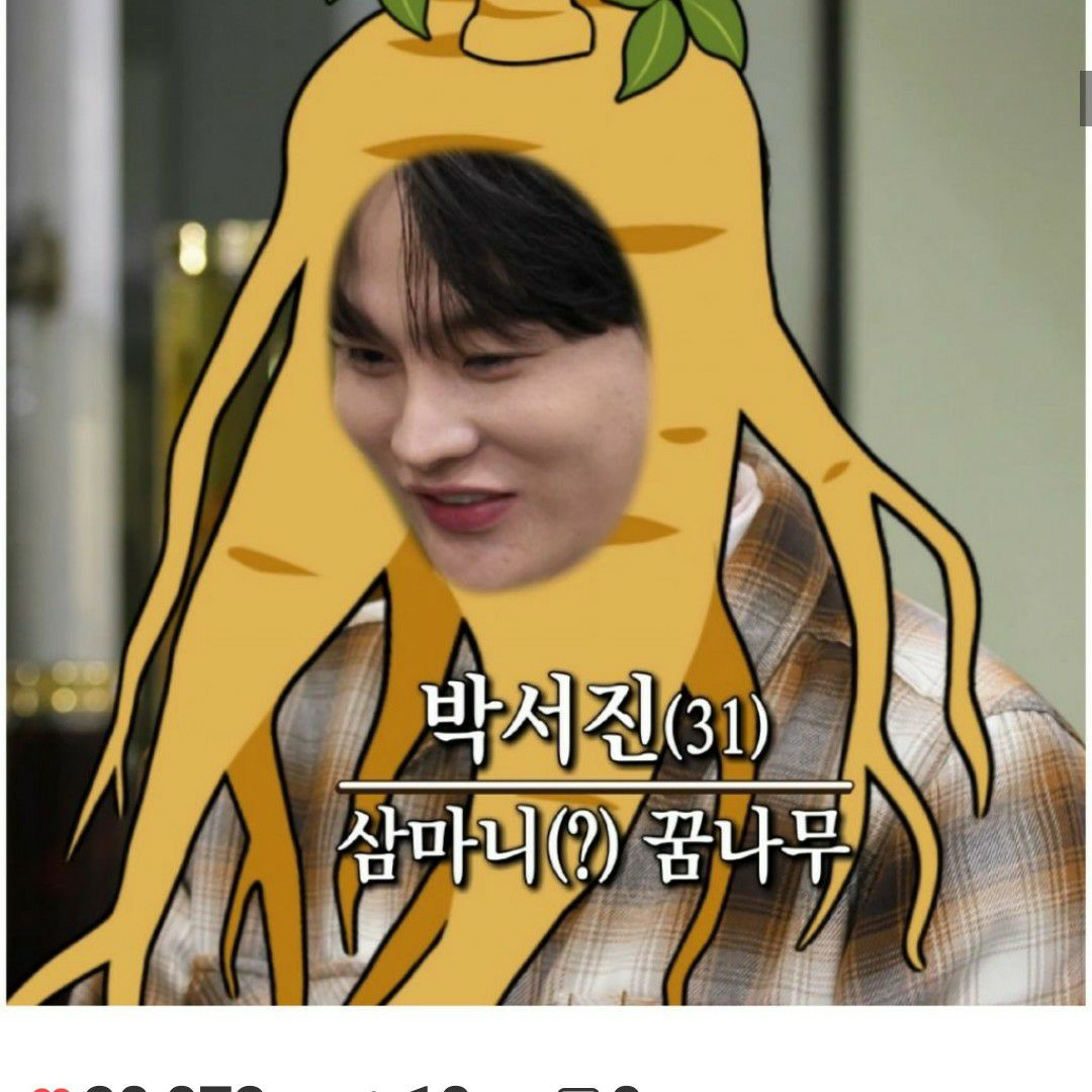 박서진 팬이 찍은 순간