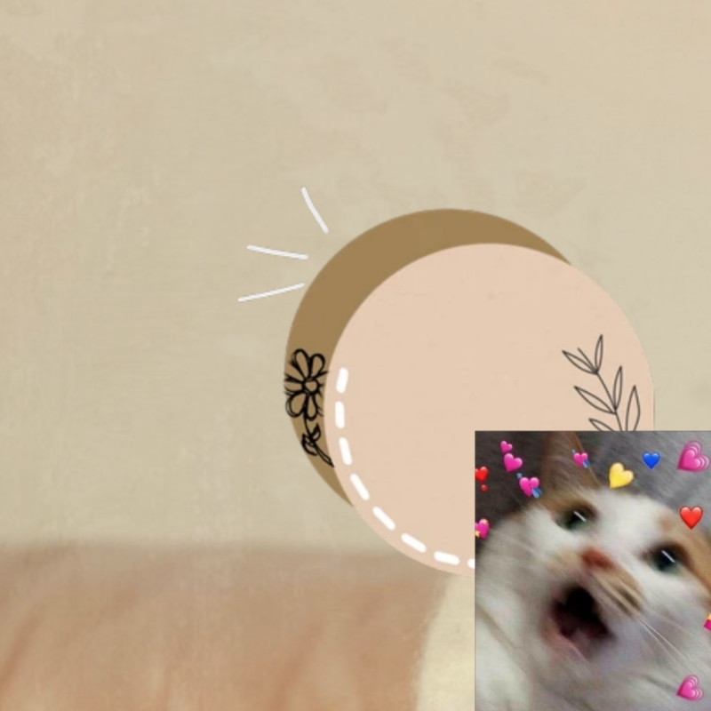 粉絲拍下的張根碩瞬間