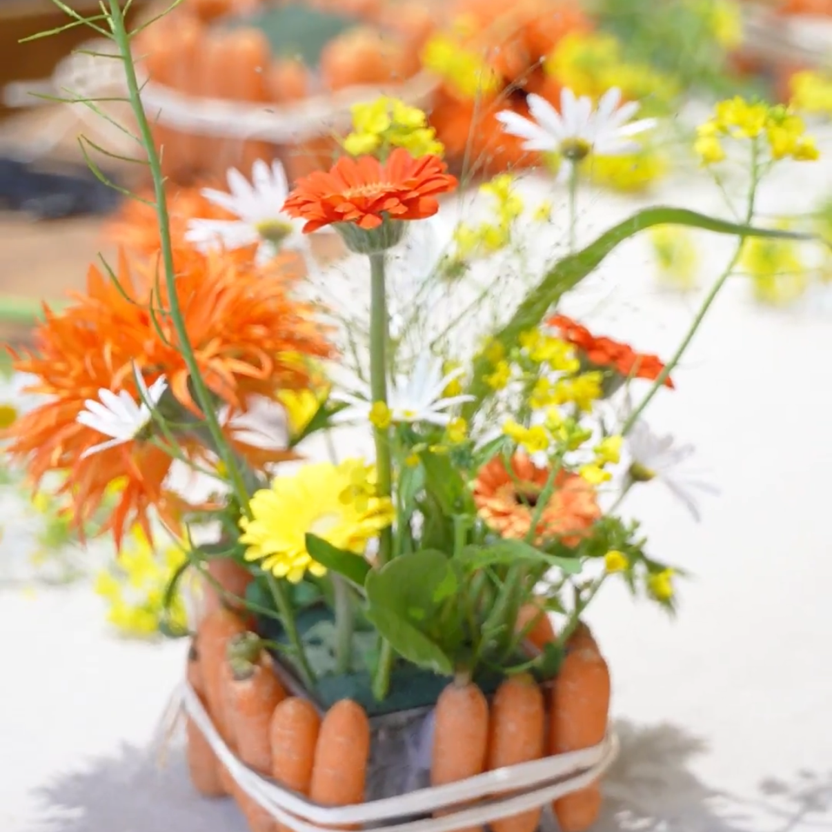 A moment captured by a fan of Park Bogum