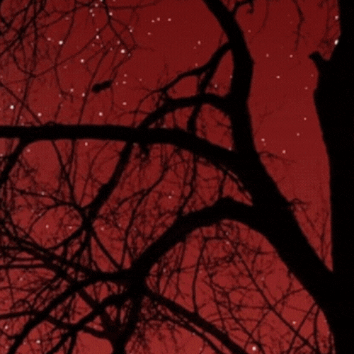 아이유 팬이 찍은 순간