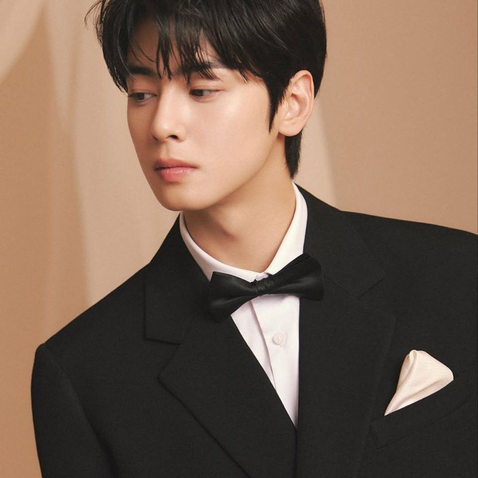 A moment captured by a fan of Cha Eunwoo