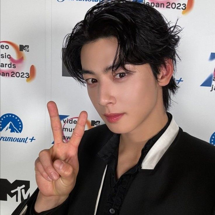 ファンが撮影したチャ・ウヌの瞬間