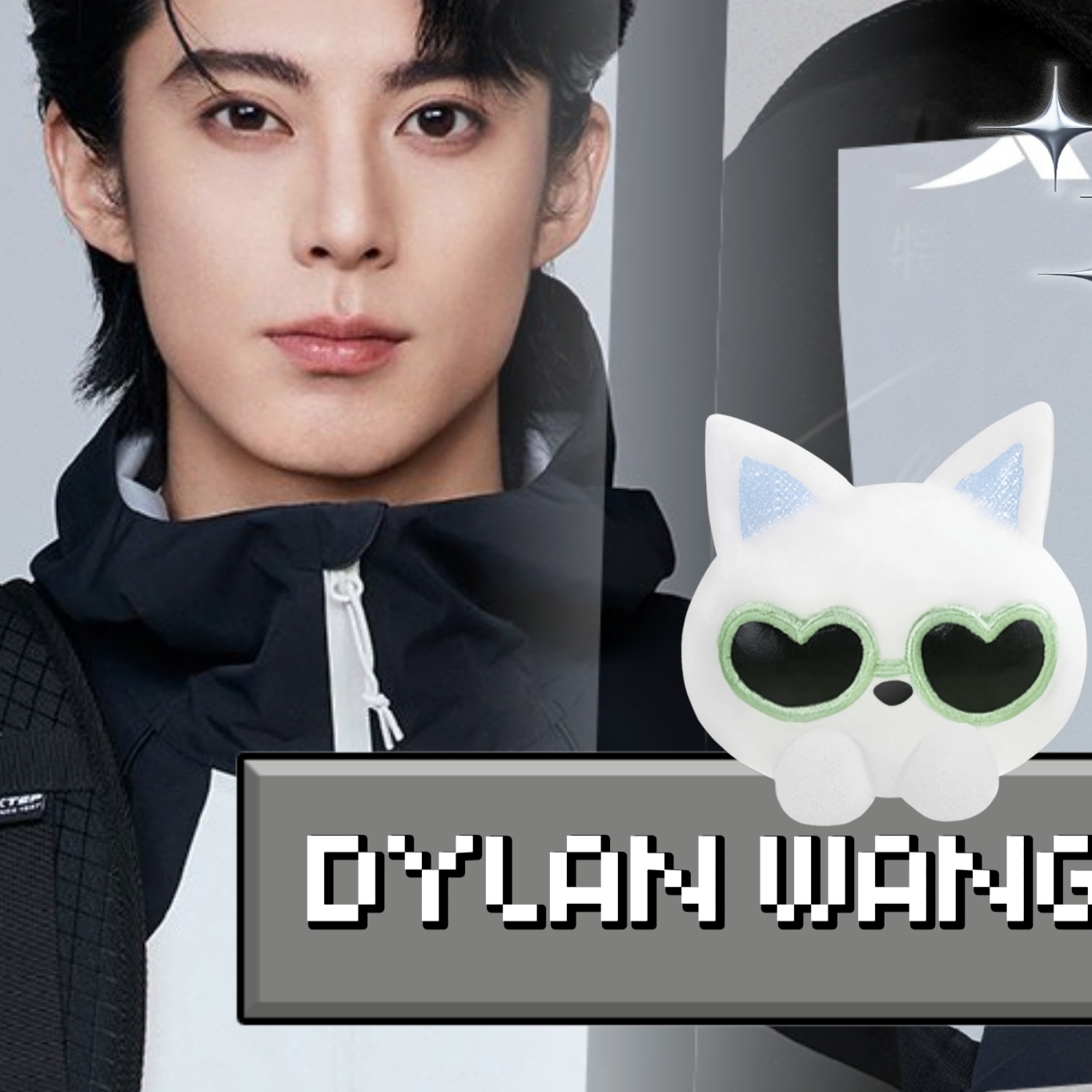A moment captured by a fan of Dylan Wang