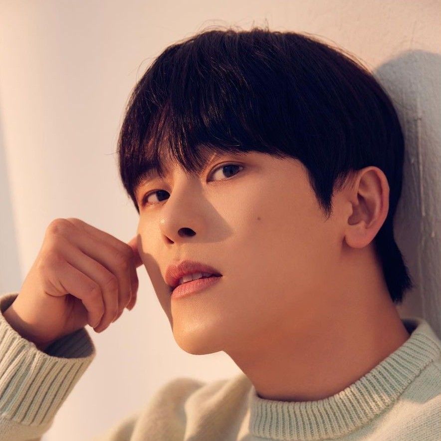 Recent activity shot of Hoya