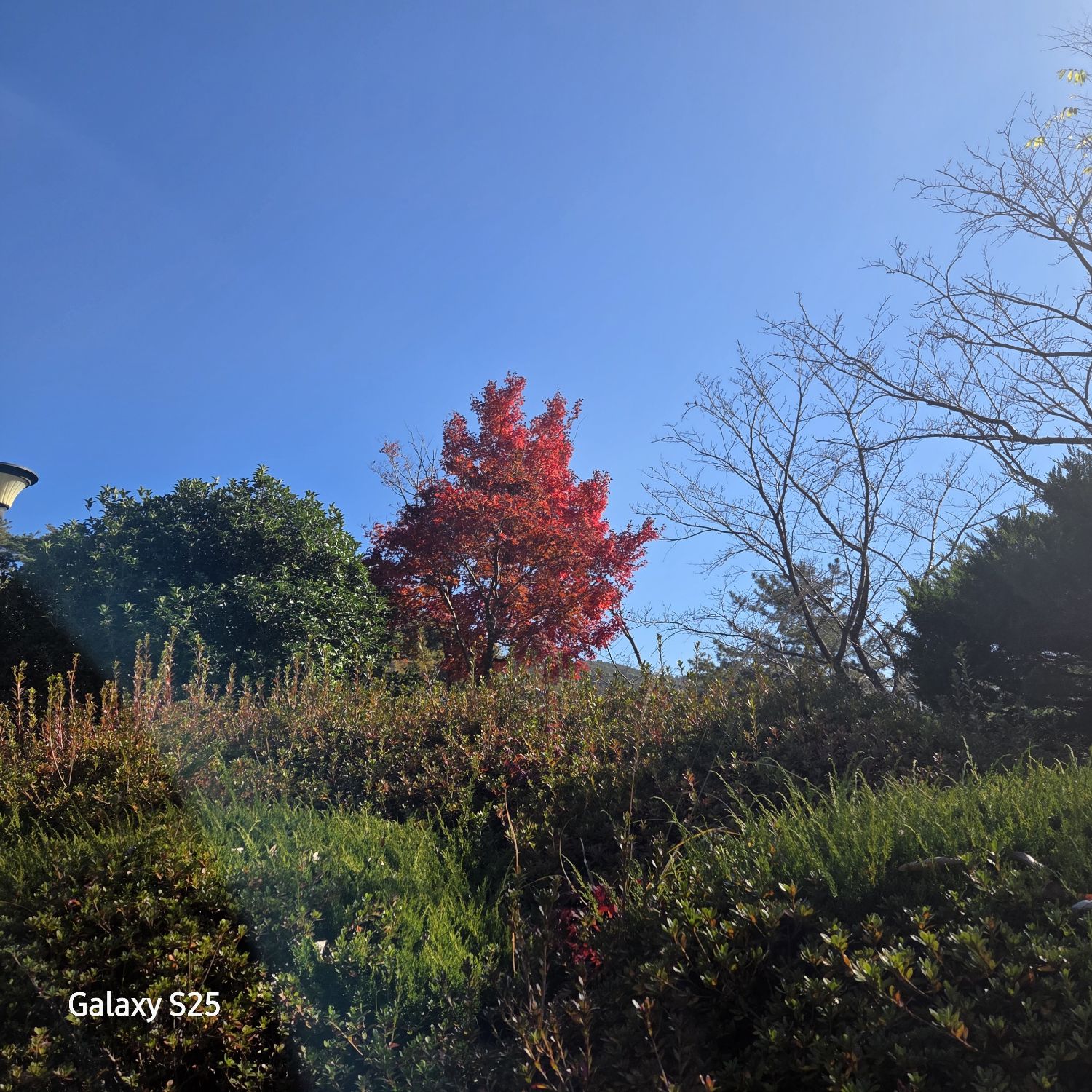 Foto terbaru dari Jang Minho