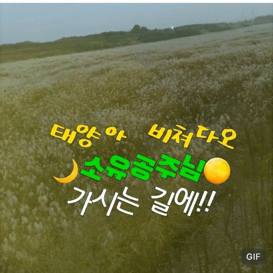 Recent activity shot of Kim Soyou