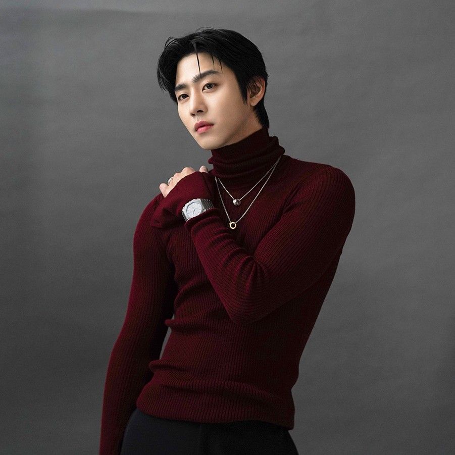 安孝燮的近期活动照