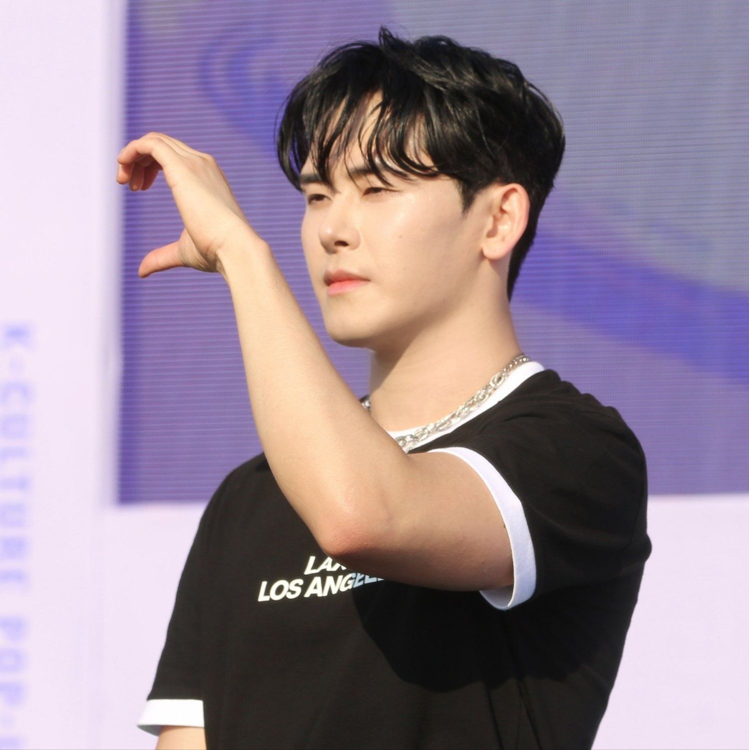 Recent activity shot of Hoya