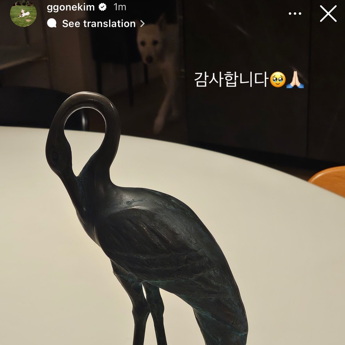 김고은의 최신 사진