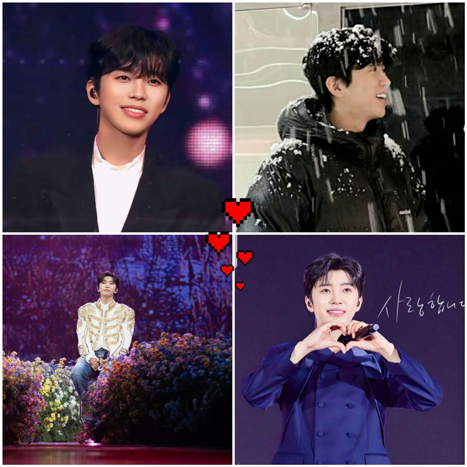 임영웅 최근 활동샷