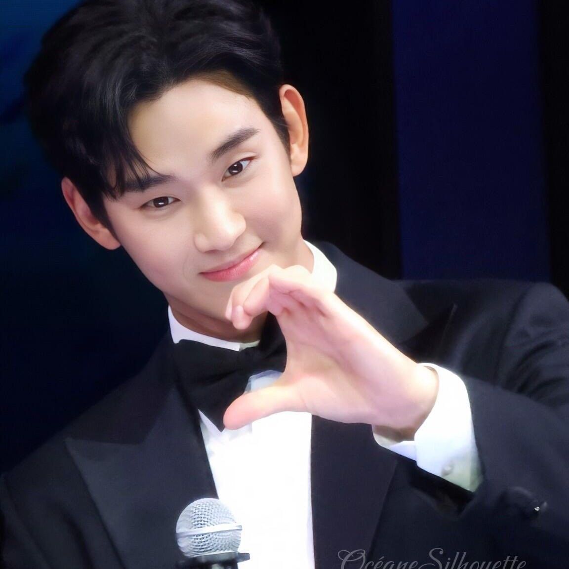 ファンが撮影したキム・スヒョンの瞬間