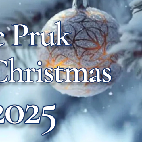 Recent activity shot of ZeePruk