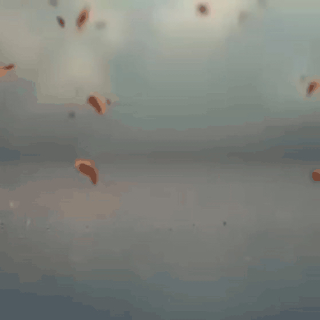 丁海寅的幕後花絮