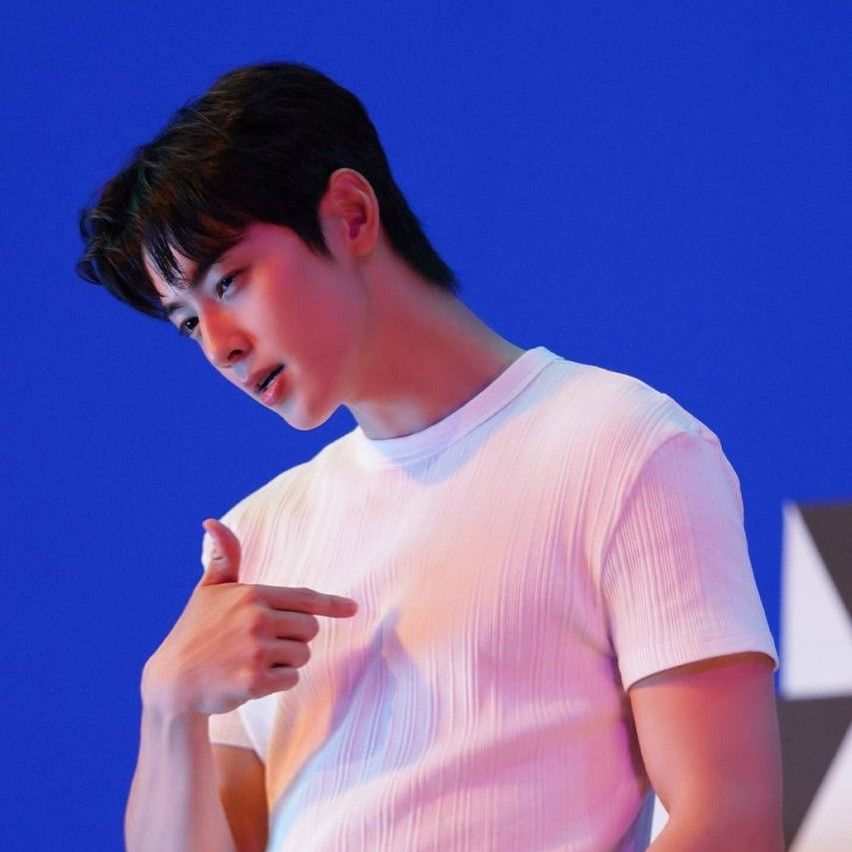 Momen yang diabadikan oleh penggemar Cha Eunwoo