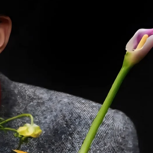 Recent activity shot of Bi Wenjun