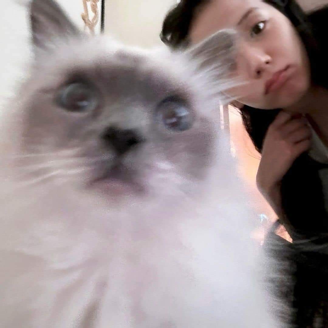 Latest photo of Jisoo (1995)