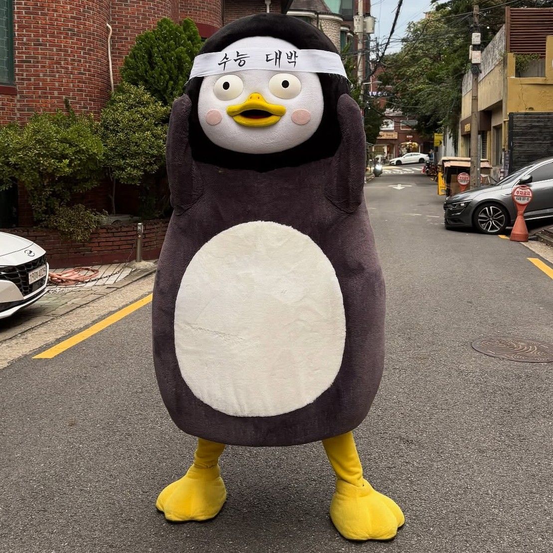 펭수 팬이 찍은 순간