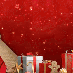 송지효 팬이 찍은 순간