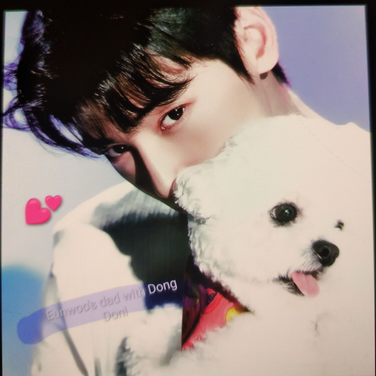 車銀優的幕後花絮