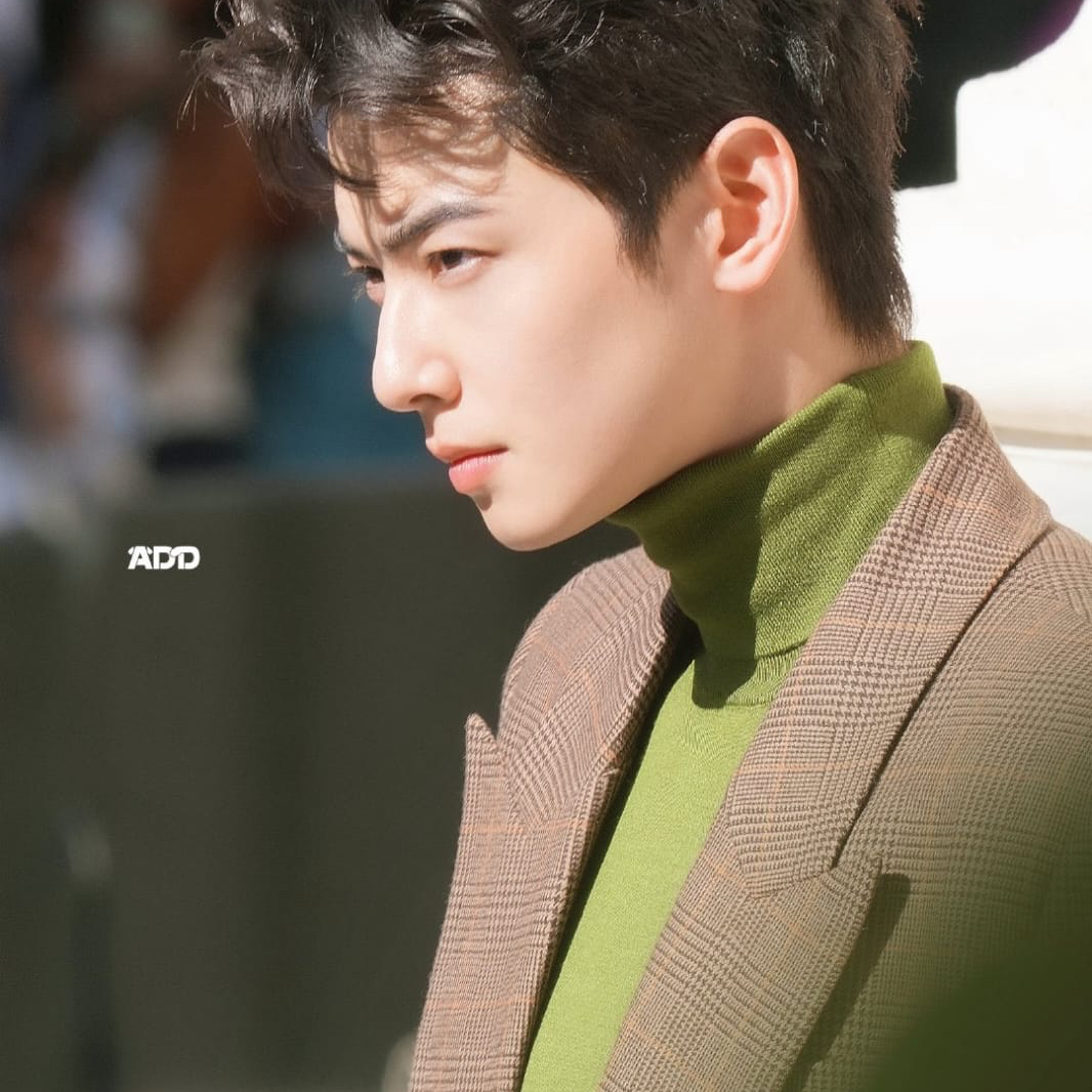 Recent activity shot of Cha Eunwoo