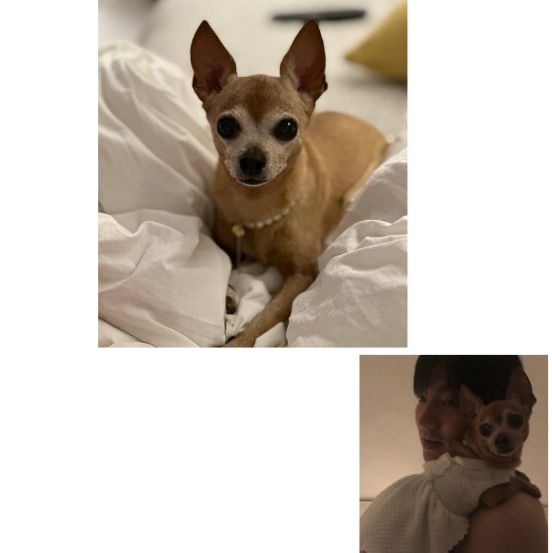 이민호의 비하인드 컷
