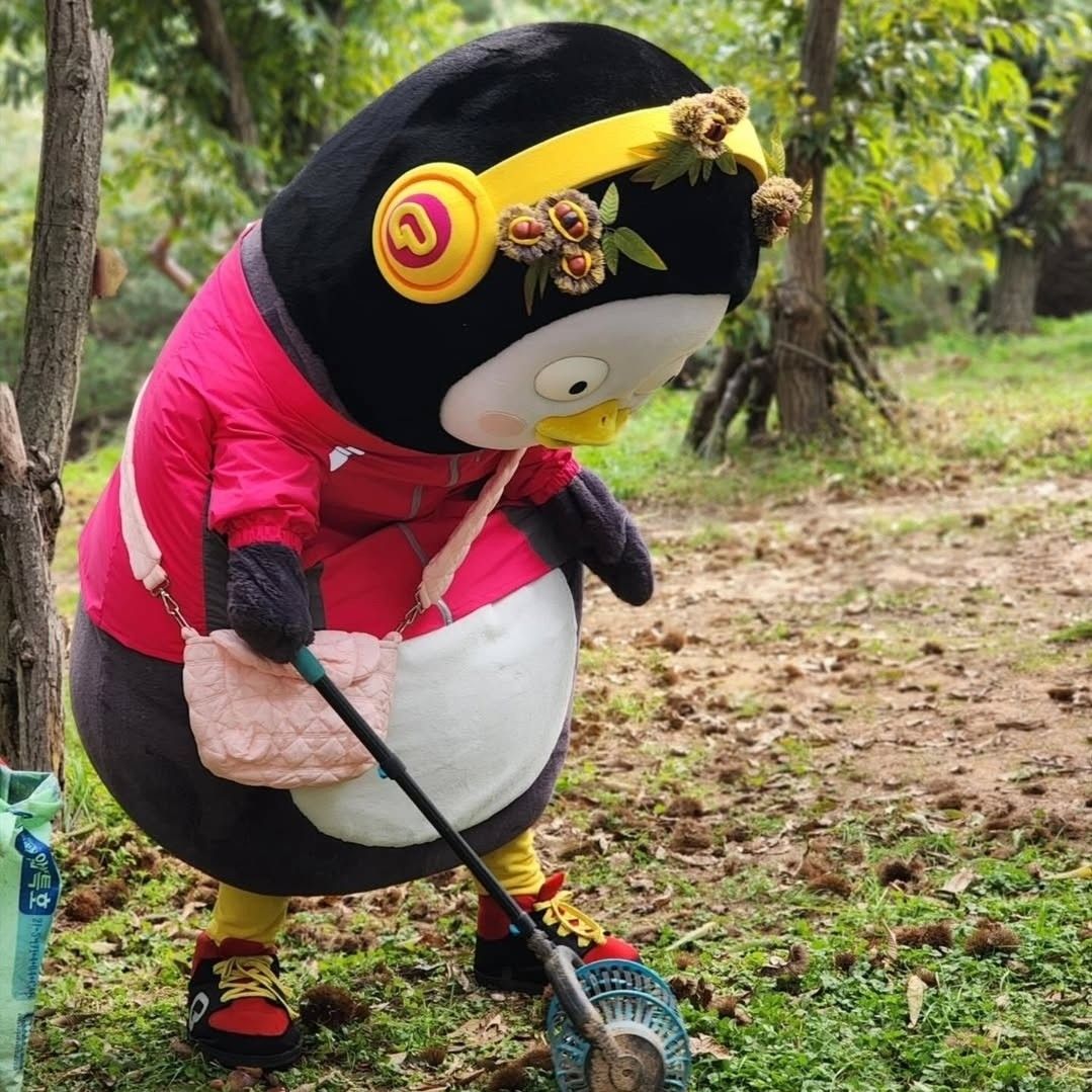 朋秀的近期活動照