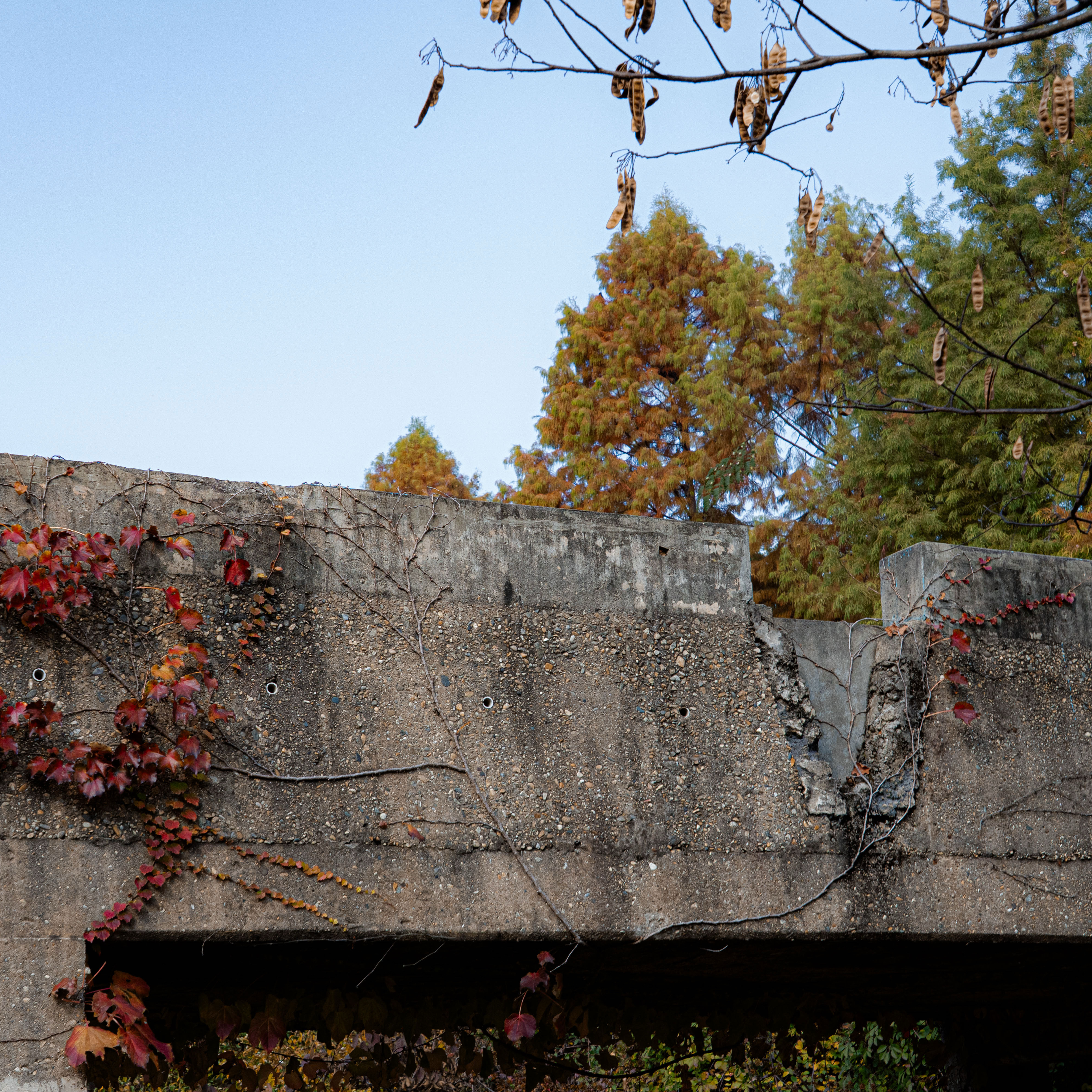 Momen yang diabadikan oleh penggemar Kim Seonho