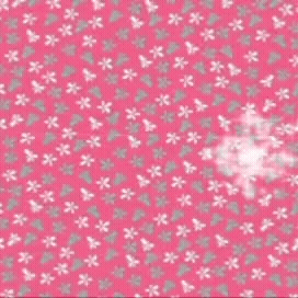 ファンが撮影したパク・ミニョンの瞬間