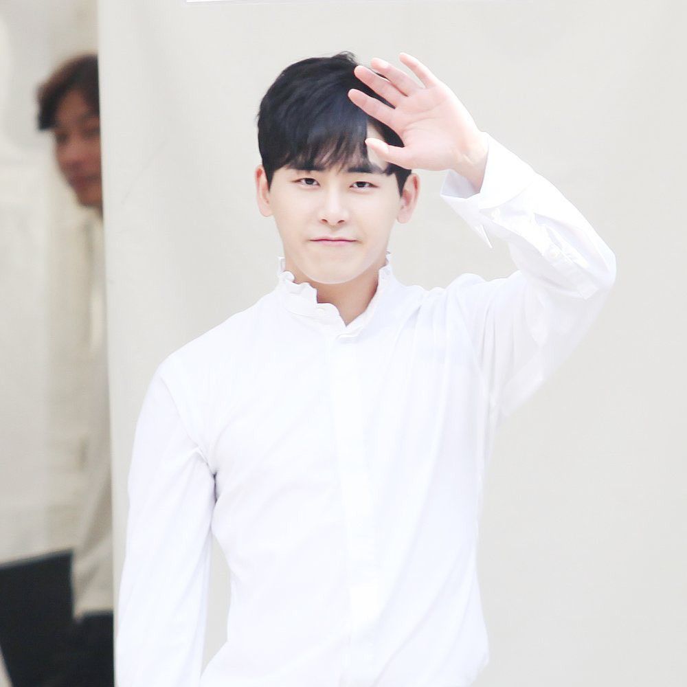 A moment captured by a fan of Hoya