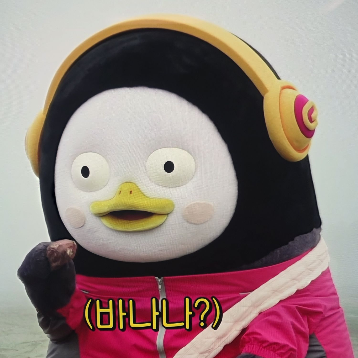 펭수의 최신 사진