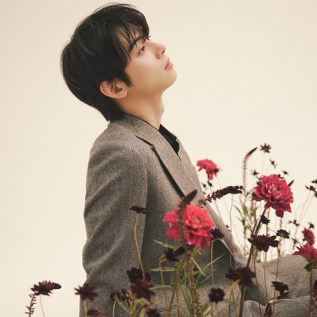 Recent activity shot of Cha Eunwoo