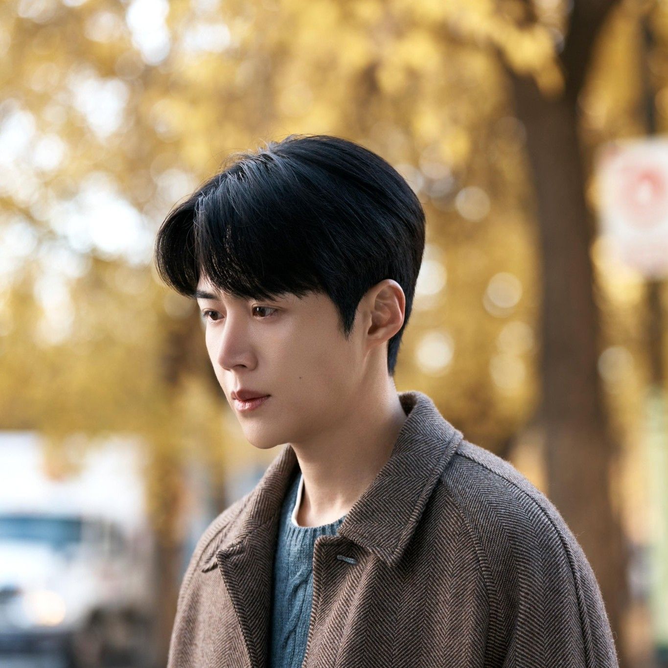 김선호 팬이 찍은 순간