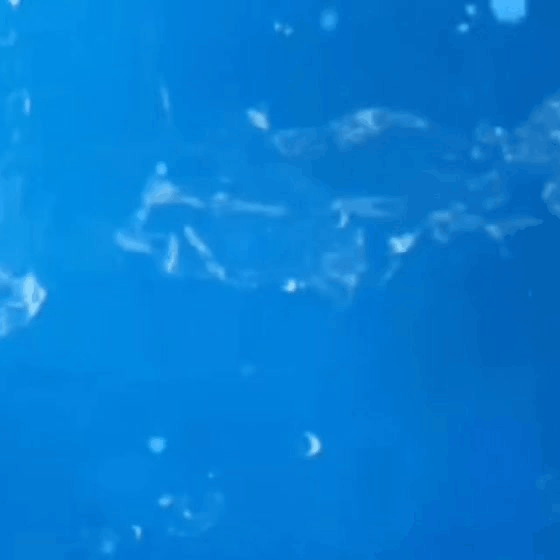 Recent activity shot of Kim Soohyun