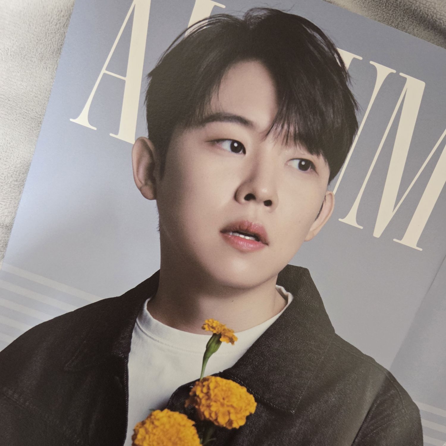 Popular celeb content trending in the community