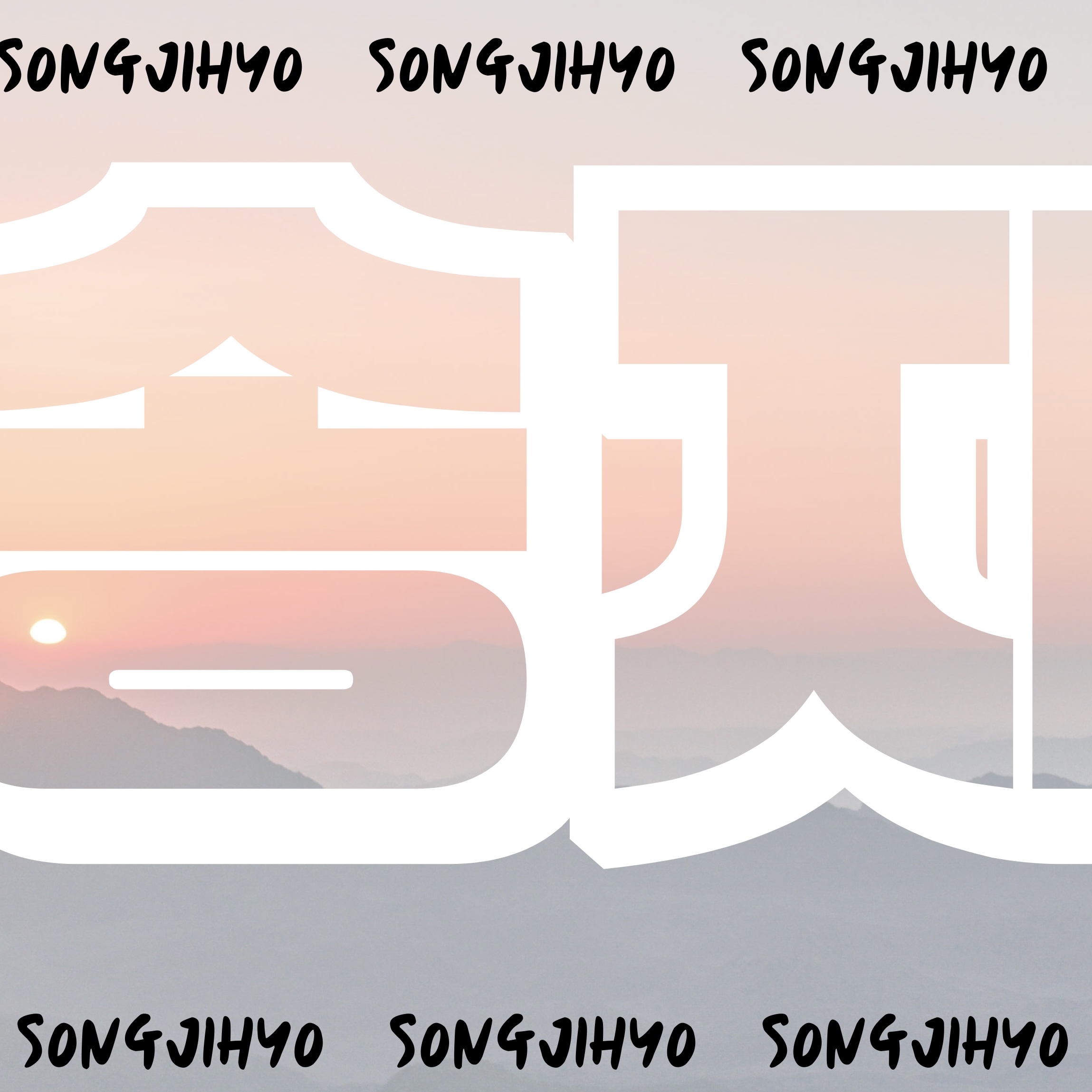 宋智孝的近期活动照