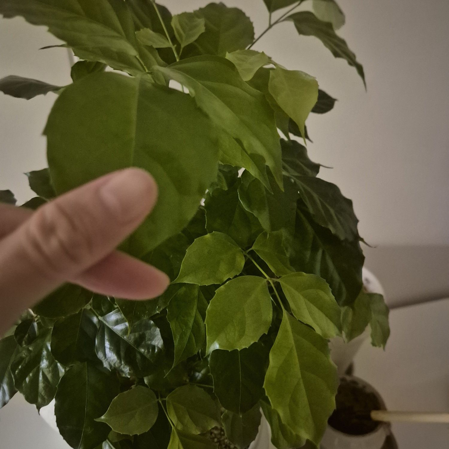 徐睿知的幕後花絮