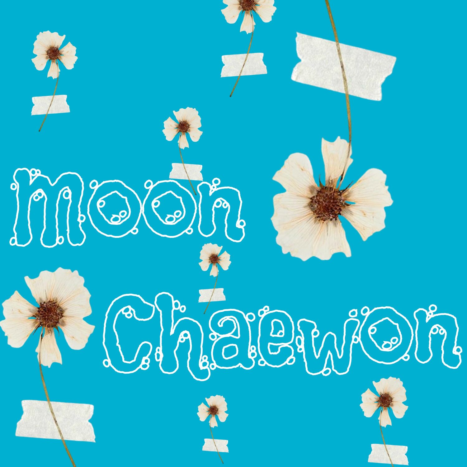 Latest photo of Moon Chaewon