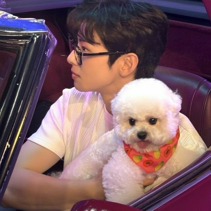 Recent activity shot of Cha Eunwoo