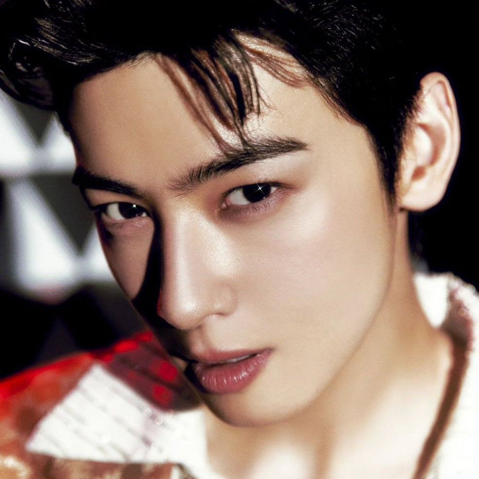 A moment captured by a fan of Cha Eunwoo