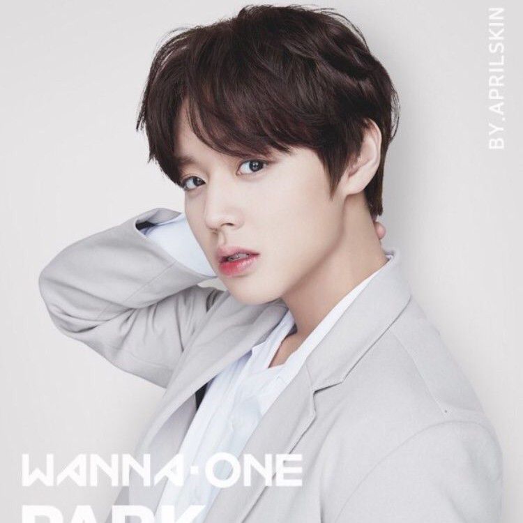 Recent activity shot of Park Jihoon