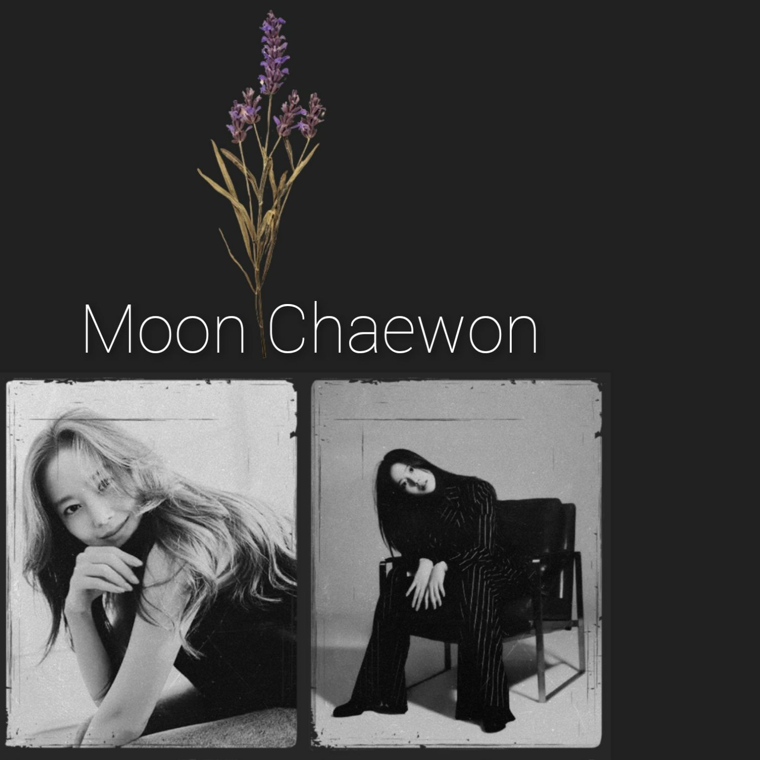 Latest photo of Moon Chaewon