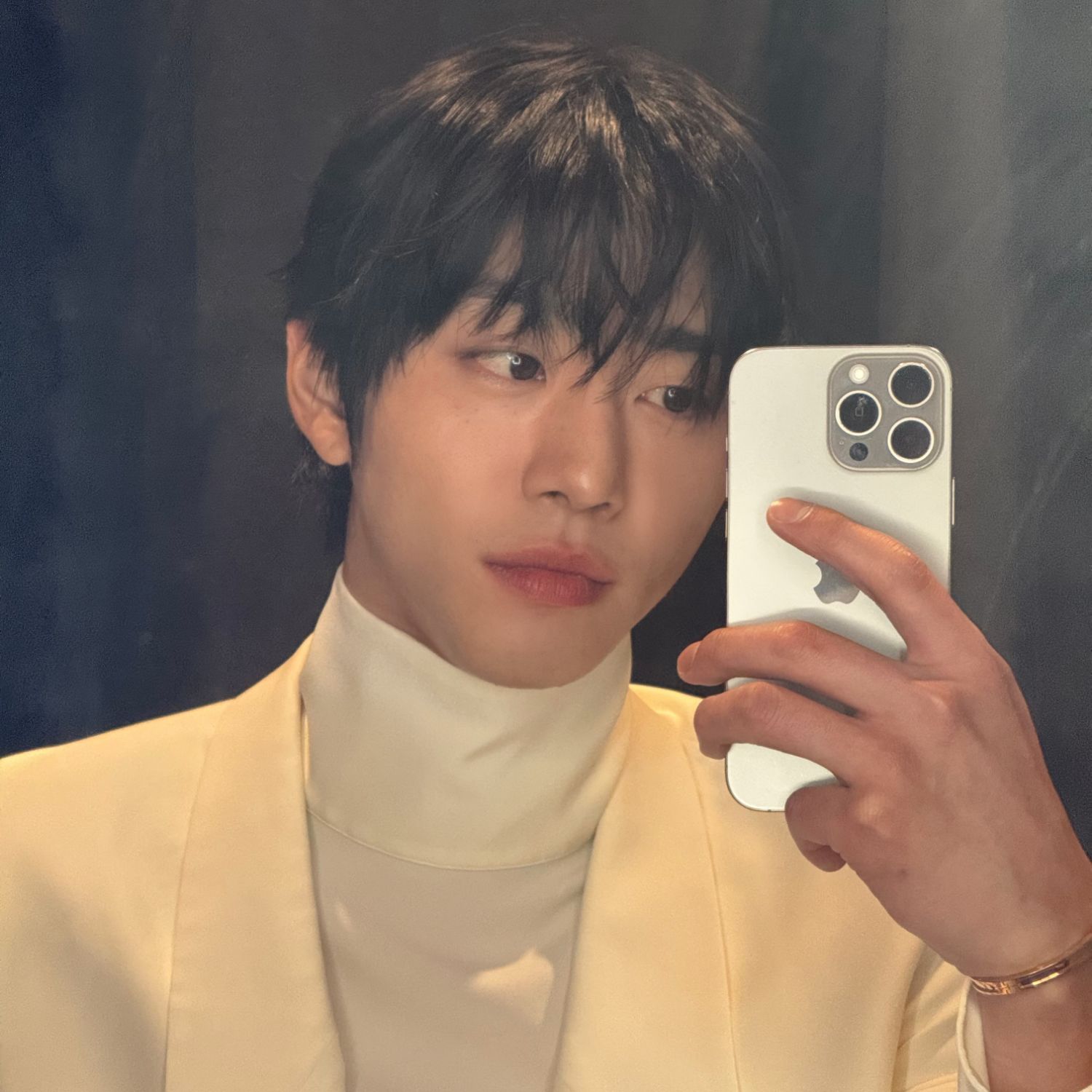 安孝燮的幕后花絮