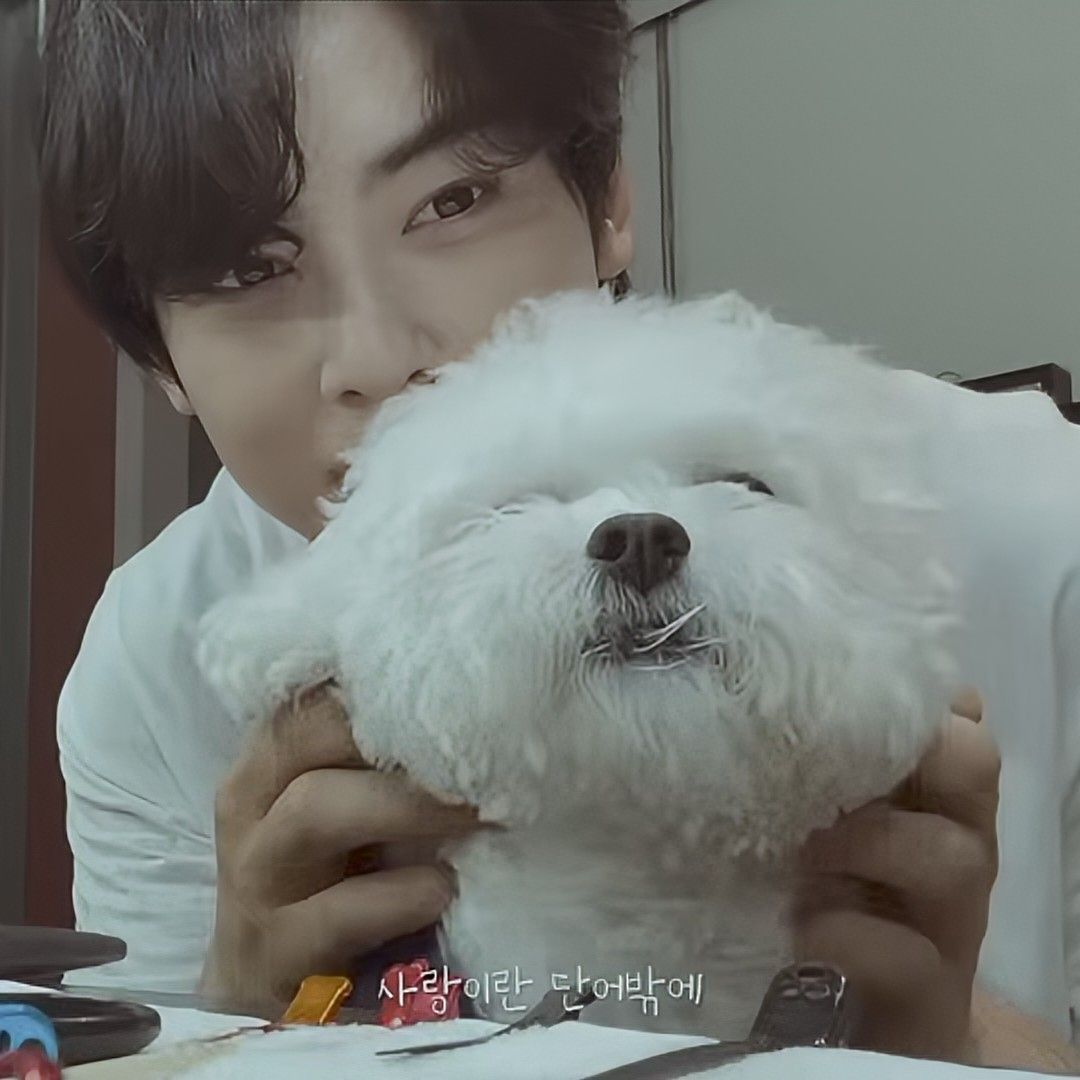 차은우 최근 활동샷