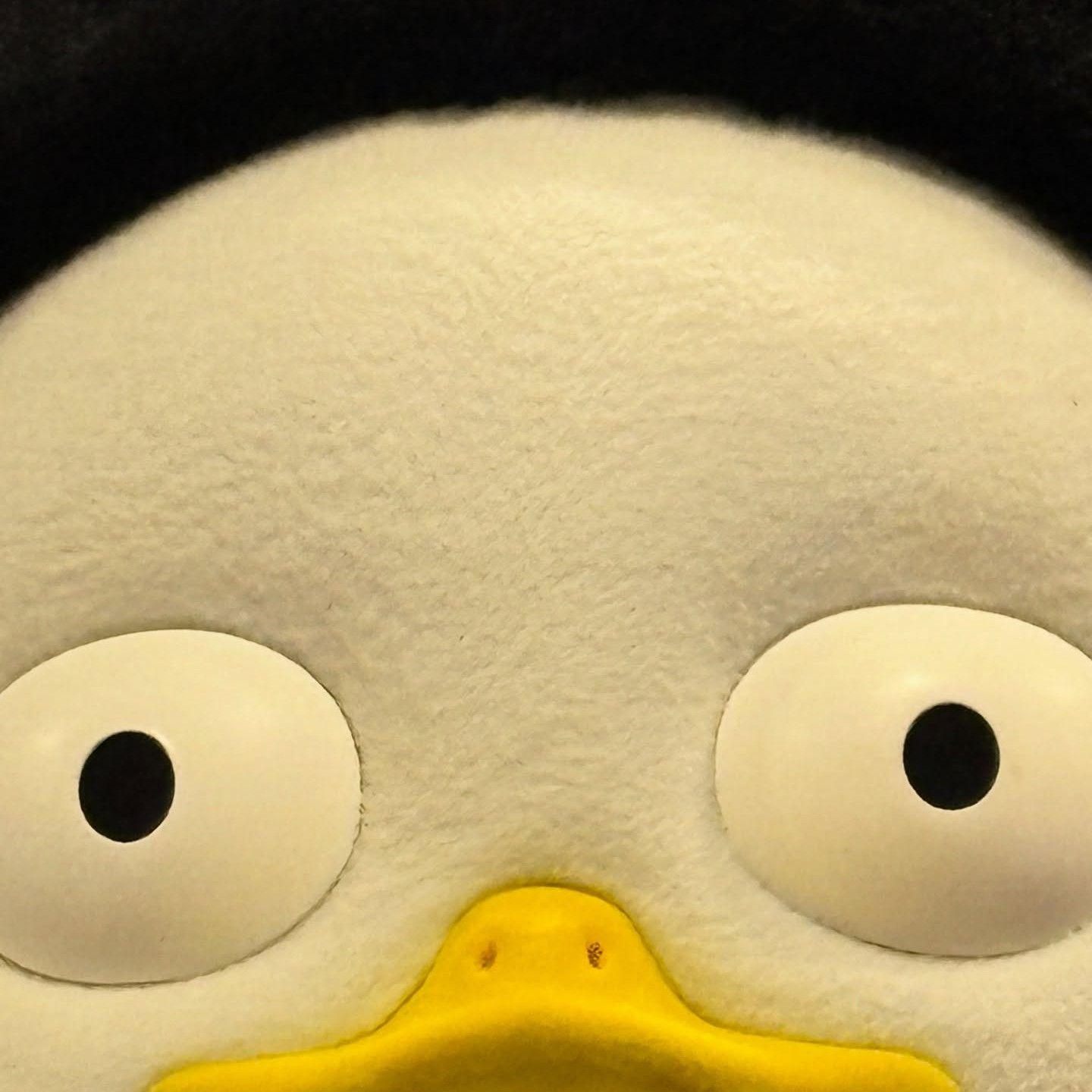 Foto terbaru dari Pengsoo