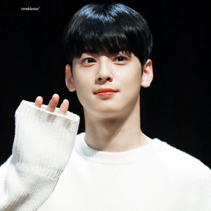 チャ・ウヌの最近の活動ショット